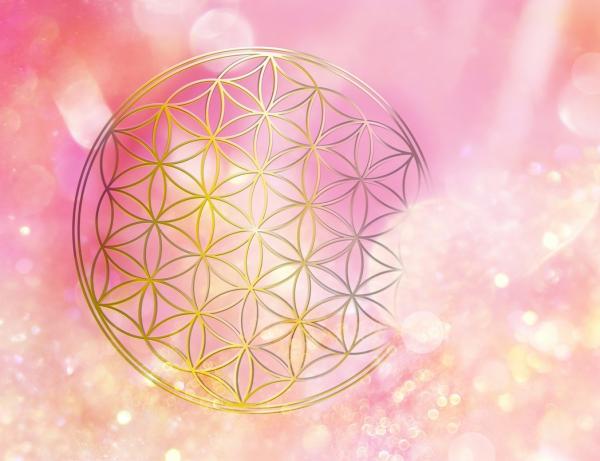 [2523]-shutterstock-2049626555-1--Copy-